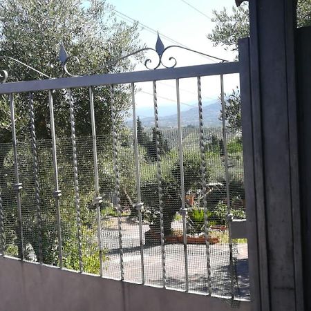 La Casa Tra Gli Ulivi Di Fonte Nuova 2 Villa Mentana Exteriör bild