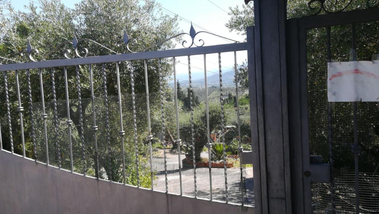 La Casa Tra Gli Ulivi Di Fonte Nuova 2 Villa Mentana Exteriör bild