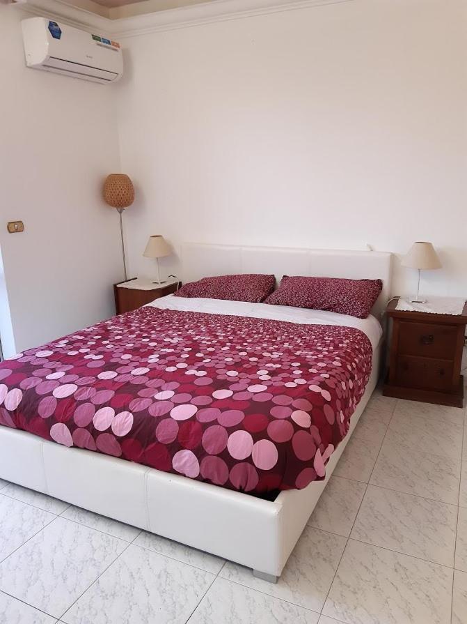 La Casa Tra Gli Ulivi Di Fonte Nuova 2 Villa Mentana Exteriör bild