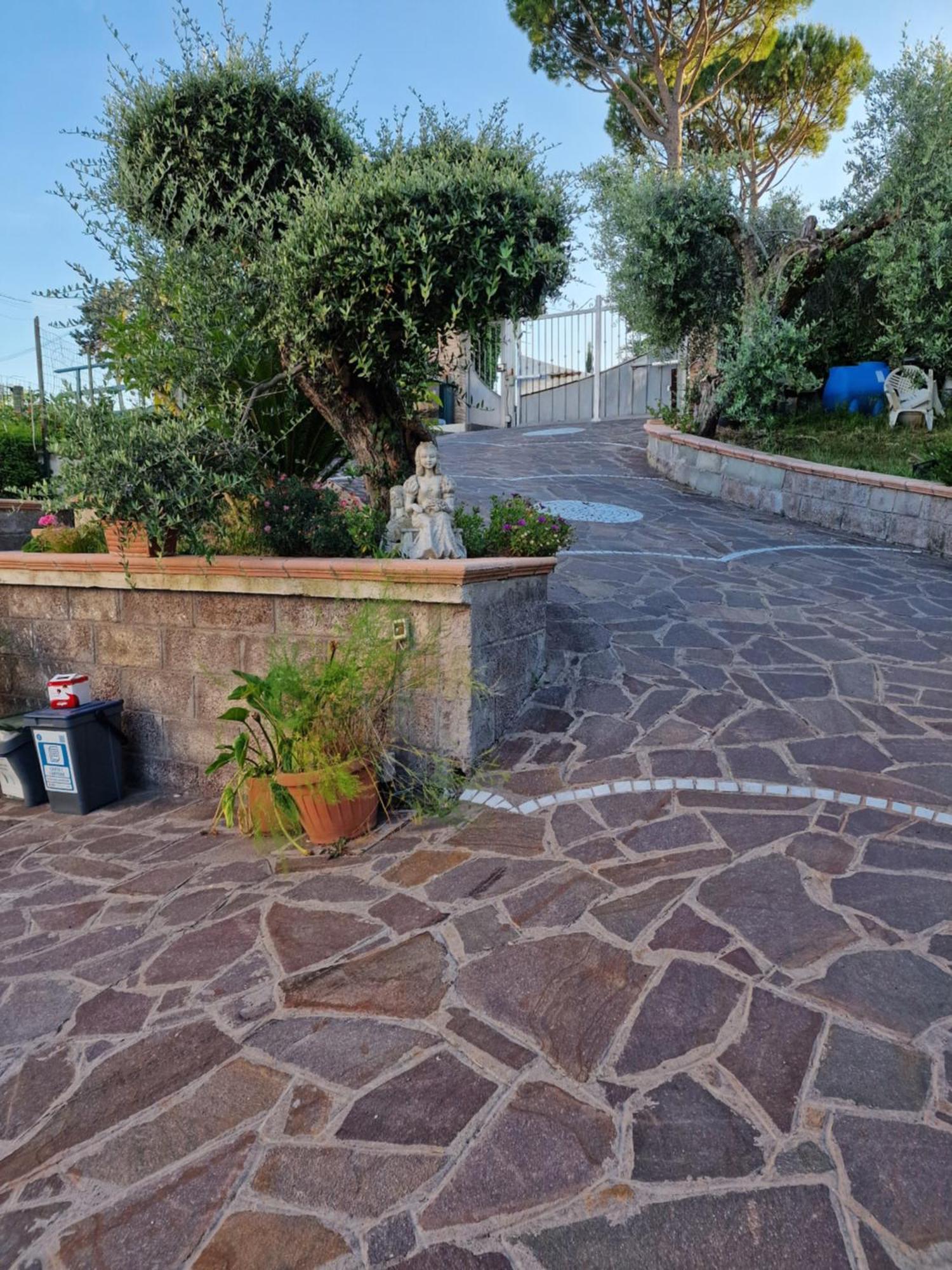 La Casa Tra Gli Ulivi Di Fonte Nuova 2 Villa Mentana Exteriör bild